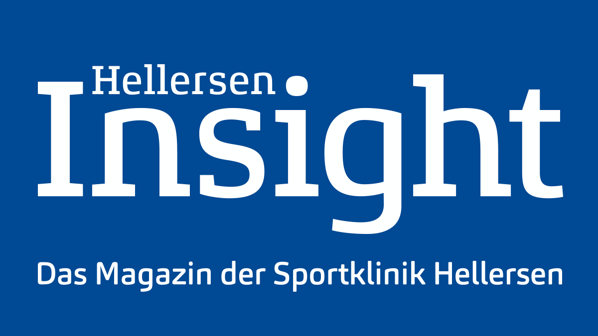 Hellersen Insight Logo