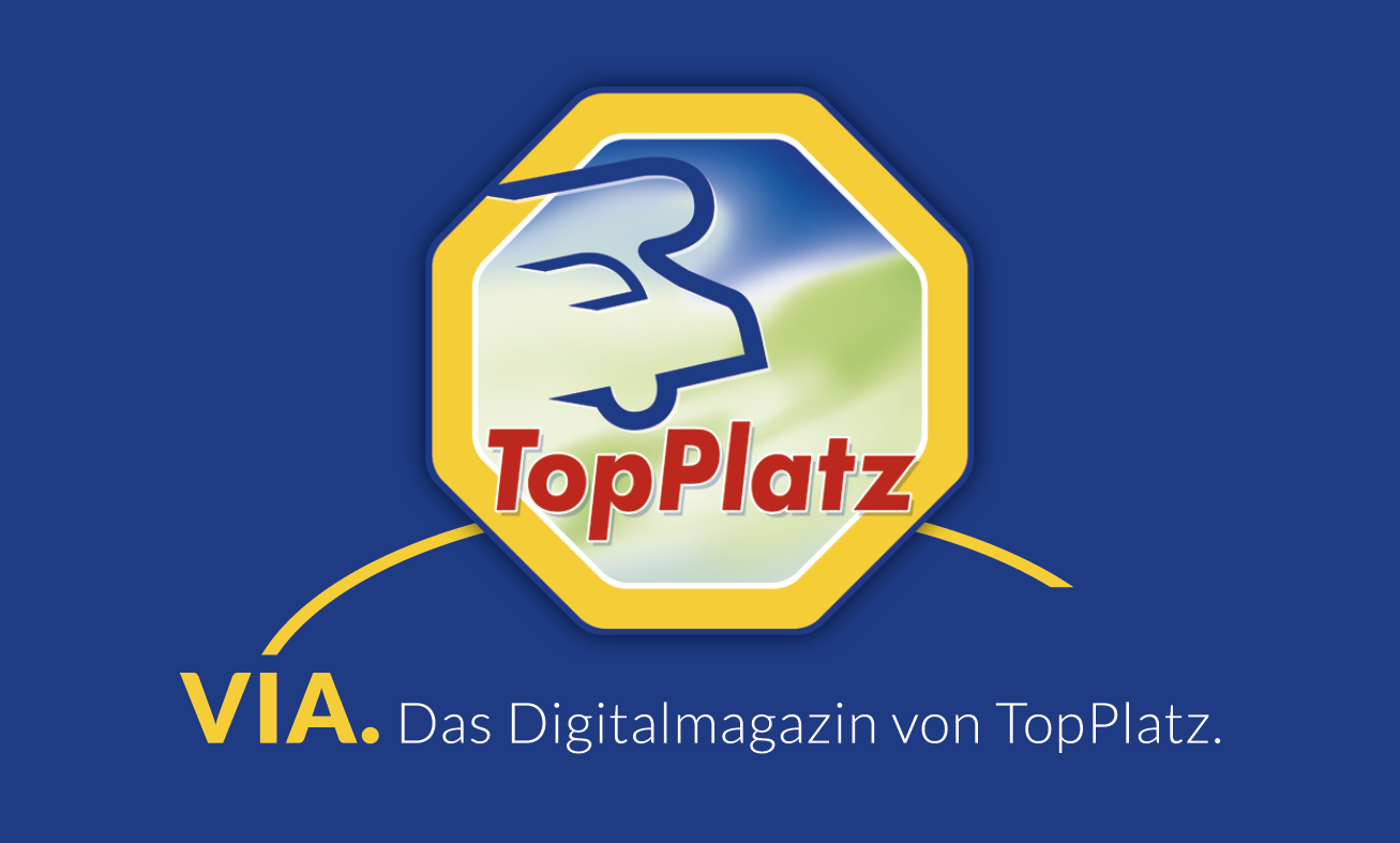 Standard-Templates Logo